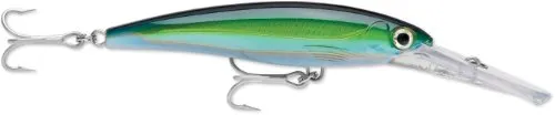 Rapala X-Rap® Magnum® 15 Yellowfin Tuna